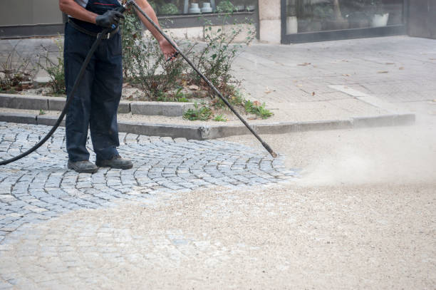 Best Pre-Holiday Cleaning  in Robesonia, PA